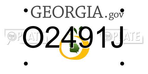 O2491J Georgia License Plate