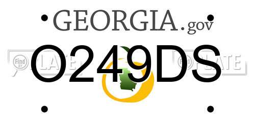 O249DS Georgia License Plate