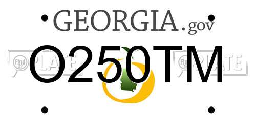 O250TM Georgia License Plate