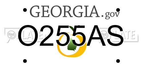 O255AS Georgia License Plate