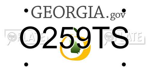 O259TS Georgia License Plate