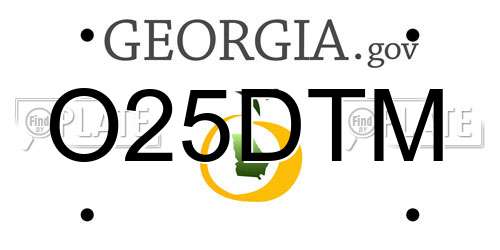 O25DTM Georgia License Plate