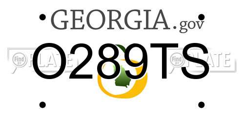 O289TS Georgia License Plate