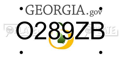 O289ZB Georgia License Plate