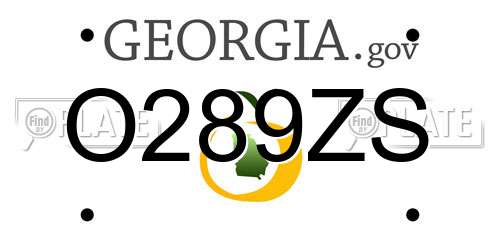 O289ZS Georgia License Plate