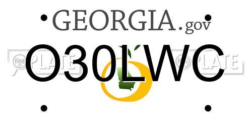 O30LWC Georgia License Plate