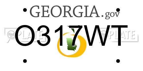 O317WT Georgia License Plate