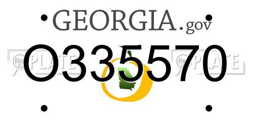 O335570 Georgia License Plate