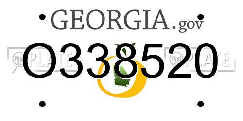 O338520 Georgia License Plate