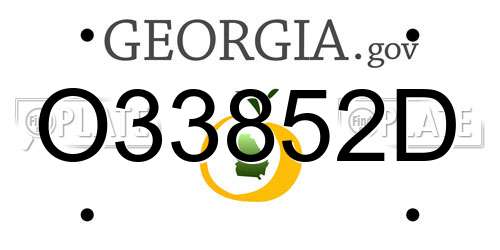 O33852D Georgia License Plate