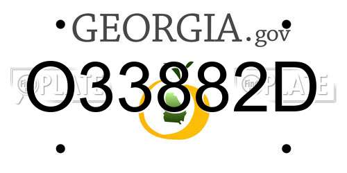 O33882D Georgia License Plate