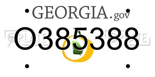 O385388 Georgia License Plate