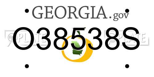 O38538S Georgia License Plate