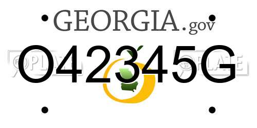 O42345G Georgia License Plate
