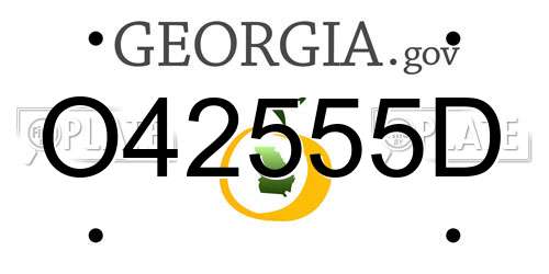 O42555D Georgia License Plate