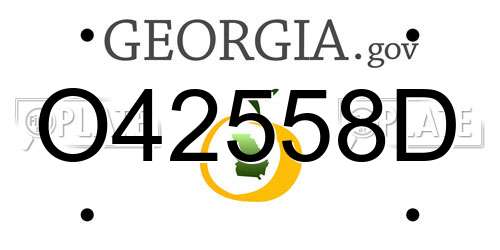 O42558D Georgia License Plate