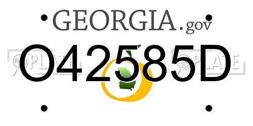 O42585D Georgia License Plate