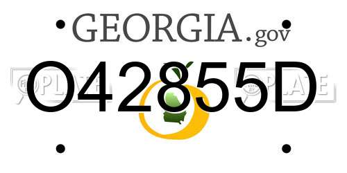 O42855D Georgia License Plate