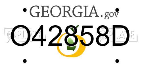 O42858D Georgia License Plate
