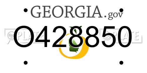 O428850 Georgia License Plate