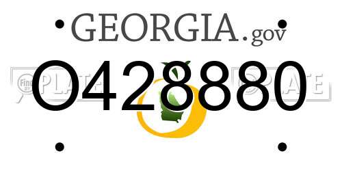 O428880 Georgia License Plate