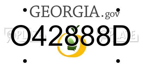 O42888D Georgia License Plate
