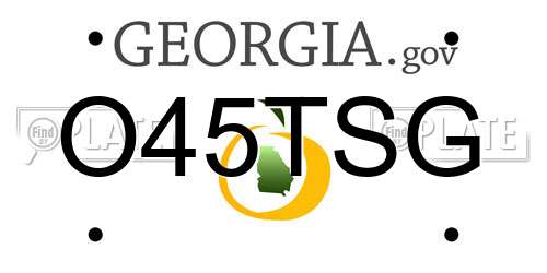 O45TSG Georgia License Plate