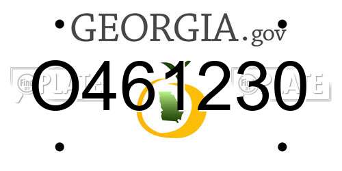 O461230 Georgia License Plate