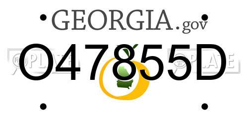 O47855D Georgia License Plate