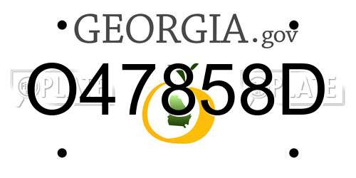 O47858D Georgia License Plate