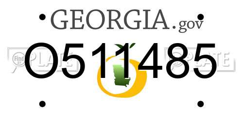O511485 Georgia License Plate