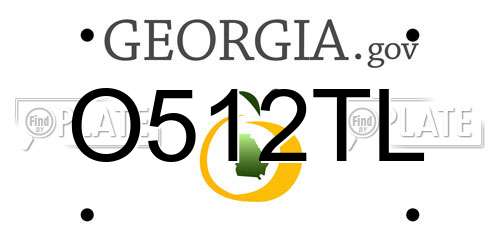 O512TL Georgia License Plate