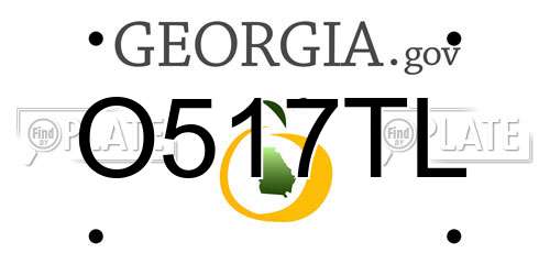 O517TL Georgia License Plate