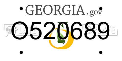 O520689 Georgia License Plate