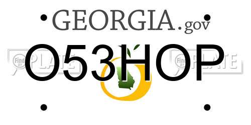 O53HOP Georgia License Plate