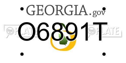 O6891T Georgia License Plate