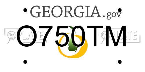 O750TM Georgia License Plate