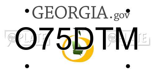 O75DTM Georgia License Plate