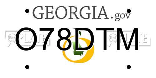O78DTM Georgia License Plate