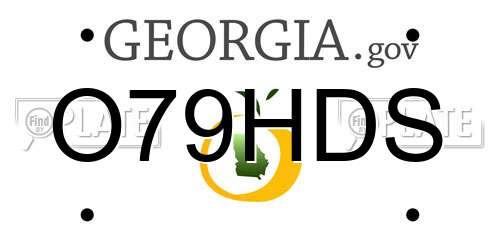 O79HDS Georgia License Plate