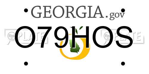 O79HOS Georgia License Plate