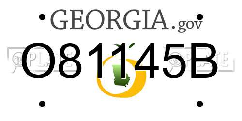 O81145B Georgia License Plate