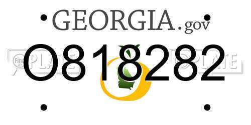 O818282 Georgia License Plate