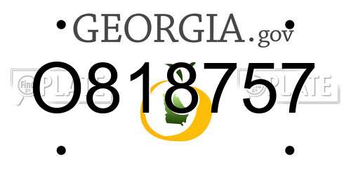 O818757 Georgia License Plate