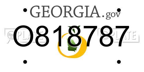 O818787 Georgia License Plate
