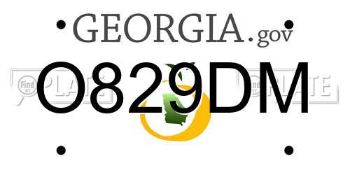 O829DM Georgia License Plate