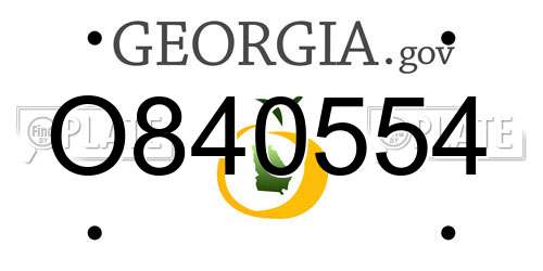 O840554 Georgia License Plate