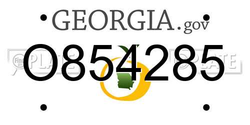 O854285 Georgia License Plate