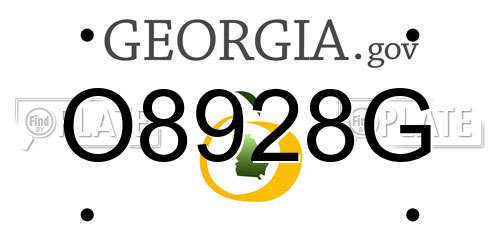 O8928G Georgia License Plate