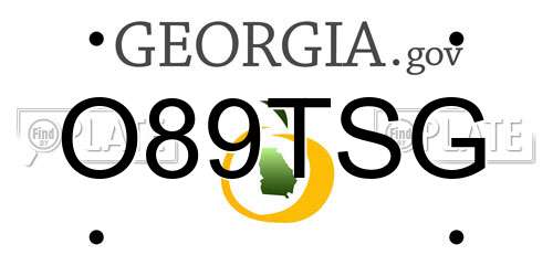 O89TSG Georgia License Plate